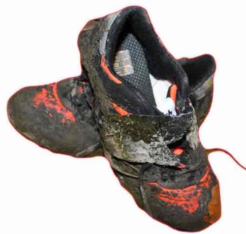 walsh fell shoes
